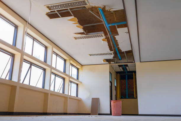 Best Basement water damage restoration  in Archer, FL