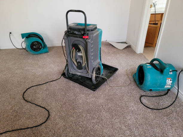 Best Sewage cleanup and water damage restoration  in Archer, FL