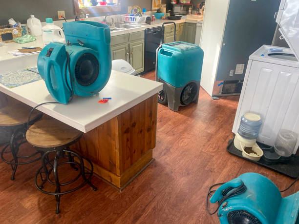 Best Water damage restoration near me  in Archer, FL